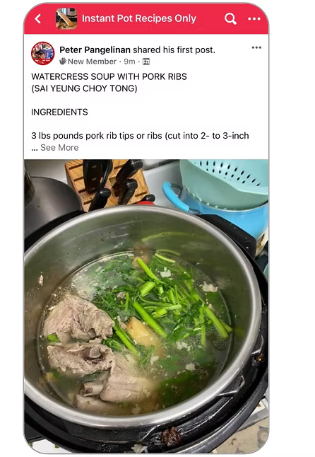 Instant Pot Recipes Only Facebook group post sharing a watercress soup recipe